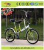 20inch green color family bicycle